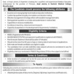 Health Secretariat AJK Jobs 2019 for Principal