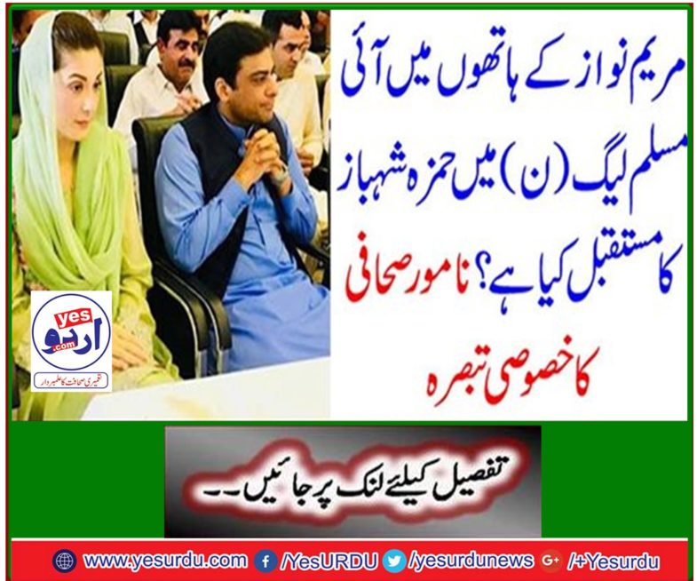 What is the future of Hamza Shahbaz in the PML-N in the hands of Maryam Nawaz? Special comment from eminent journalist