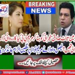 Faisal Wowda accuses Maryam Nawaz of serious