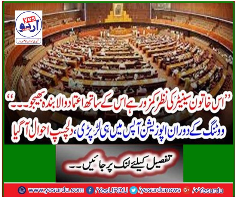 While voting, the opposition fought among themselves, interesting details came