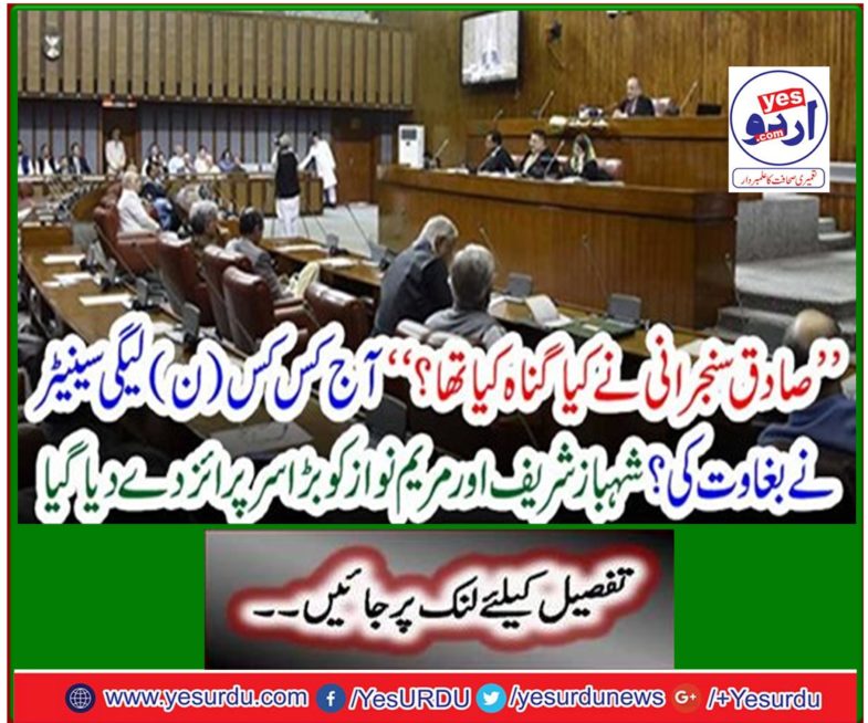 Shahbaz Sharif and Maryam Nawaz were given a big surprise