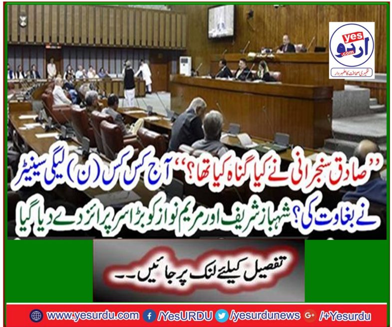 Shahbaz Sharif and Maryam Nawaz were given a big surprise