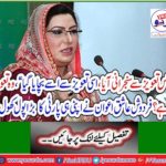 Firdous Ashiq Awan opened a large pool of his own party