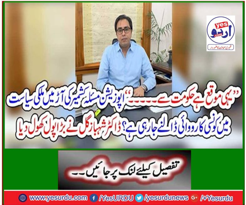 'Opposition issue is going to take action in domestic politics under the guise of Kashmir? Dr Shahbaz Gul opened the big pool