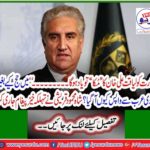 Shah Mahmood Qureshi issued a jarring message