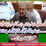 Foreign Minister Shah Mahmood Qureshi announces the nation's blood warming