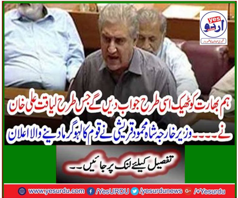 Foreign Minister Shah Mahmood Qureshi announces the nation's blood warming