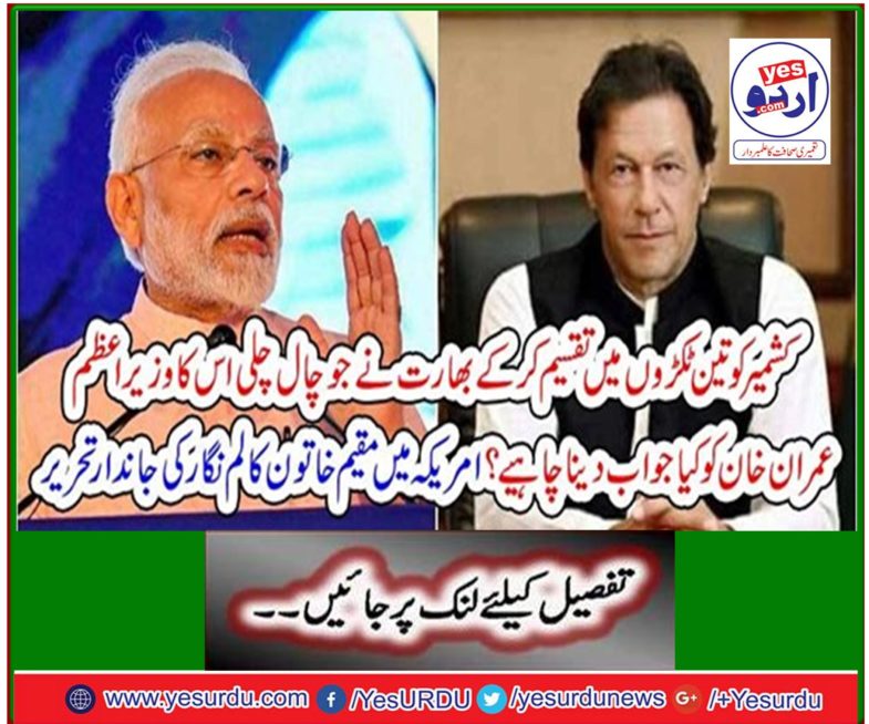 Writing biography of a female columnist based in the United States