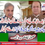 Three men working for Sharif Mafia arrested, who are they and why they were arrested? Great job news