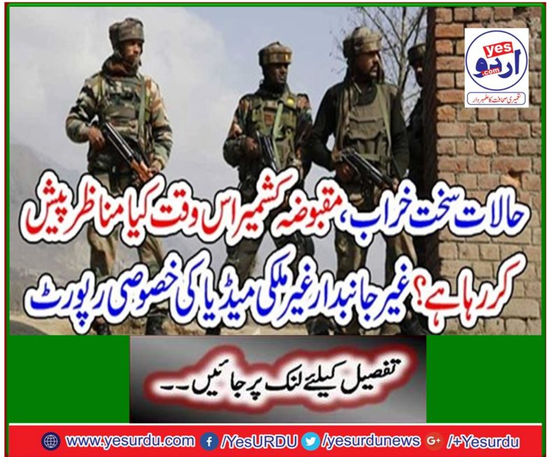 Special report on neutral foreign media