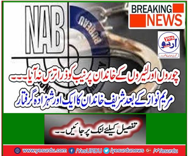 Another Sharif family prince arrested after Maryam Nawaz