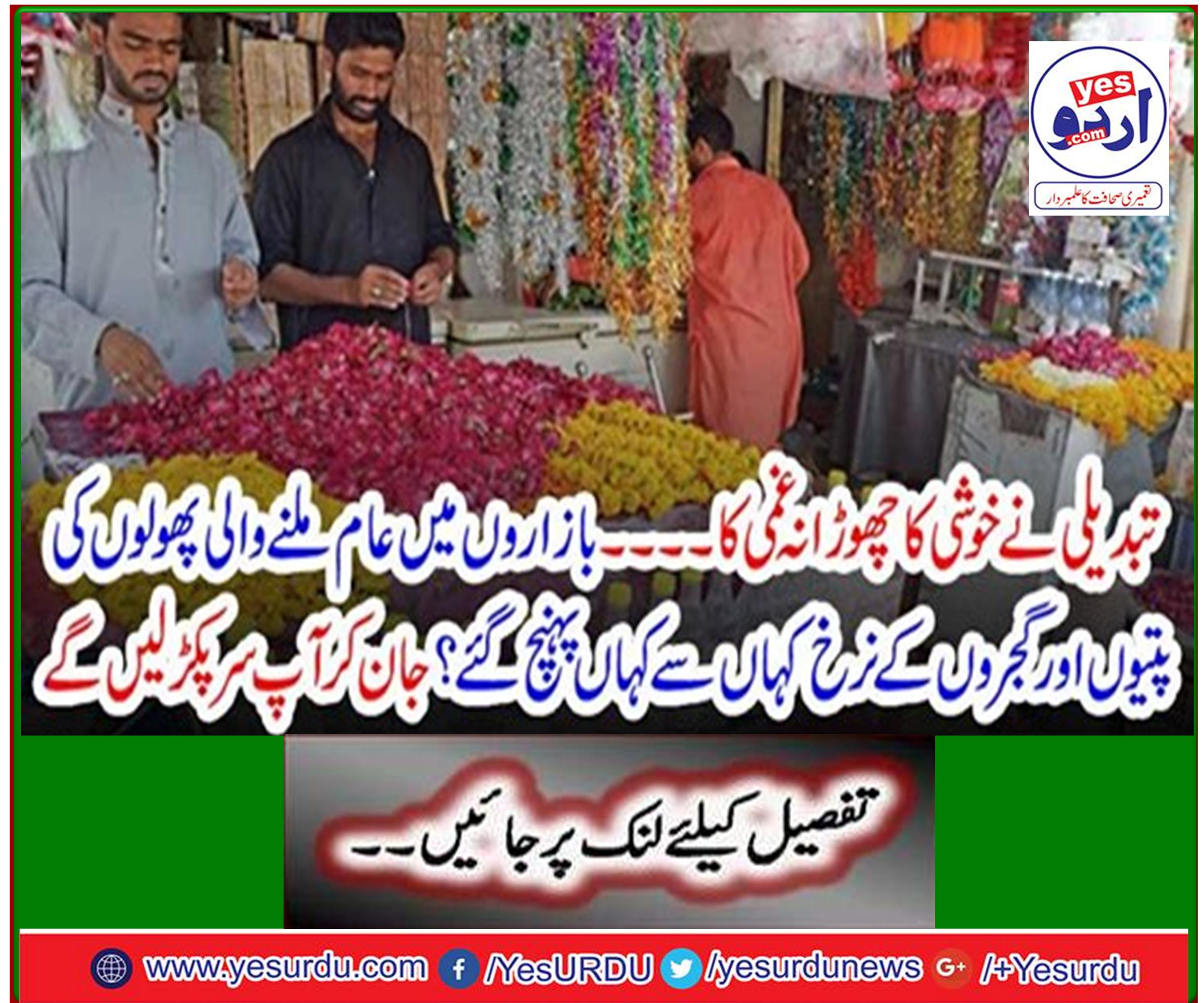 Change has not left happiness - not grief - Where did the prices of flowers and leaves go to the market? Knowing you'll catch your head