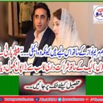 'The People's Party opens the largest pool of partnerships with the PML-N