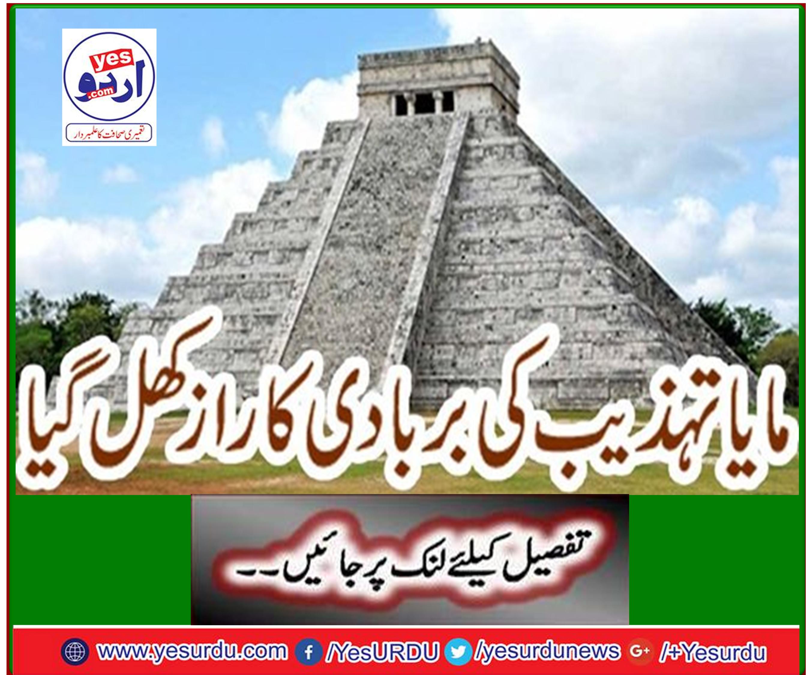 The secret of the destruction of Maya civilization has been revealed ...