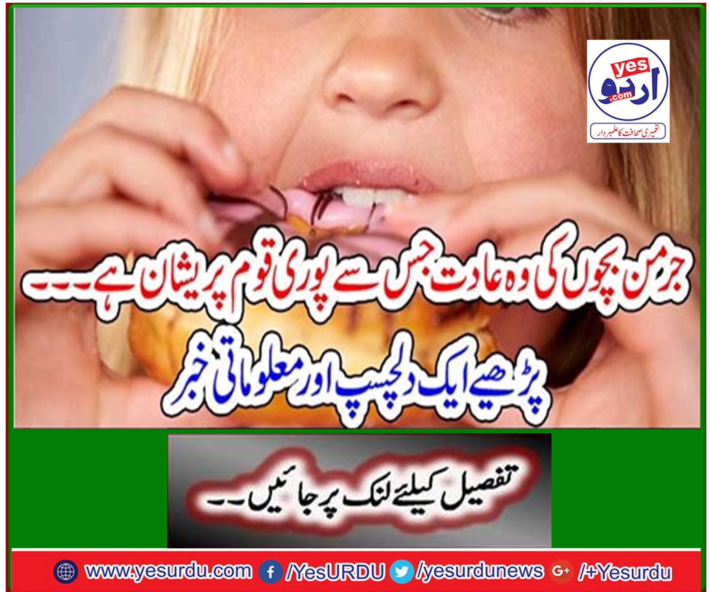 The habits of German children which upset the whole nation ... Read an interesting and informative news