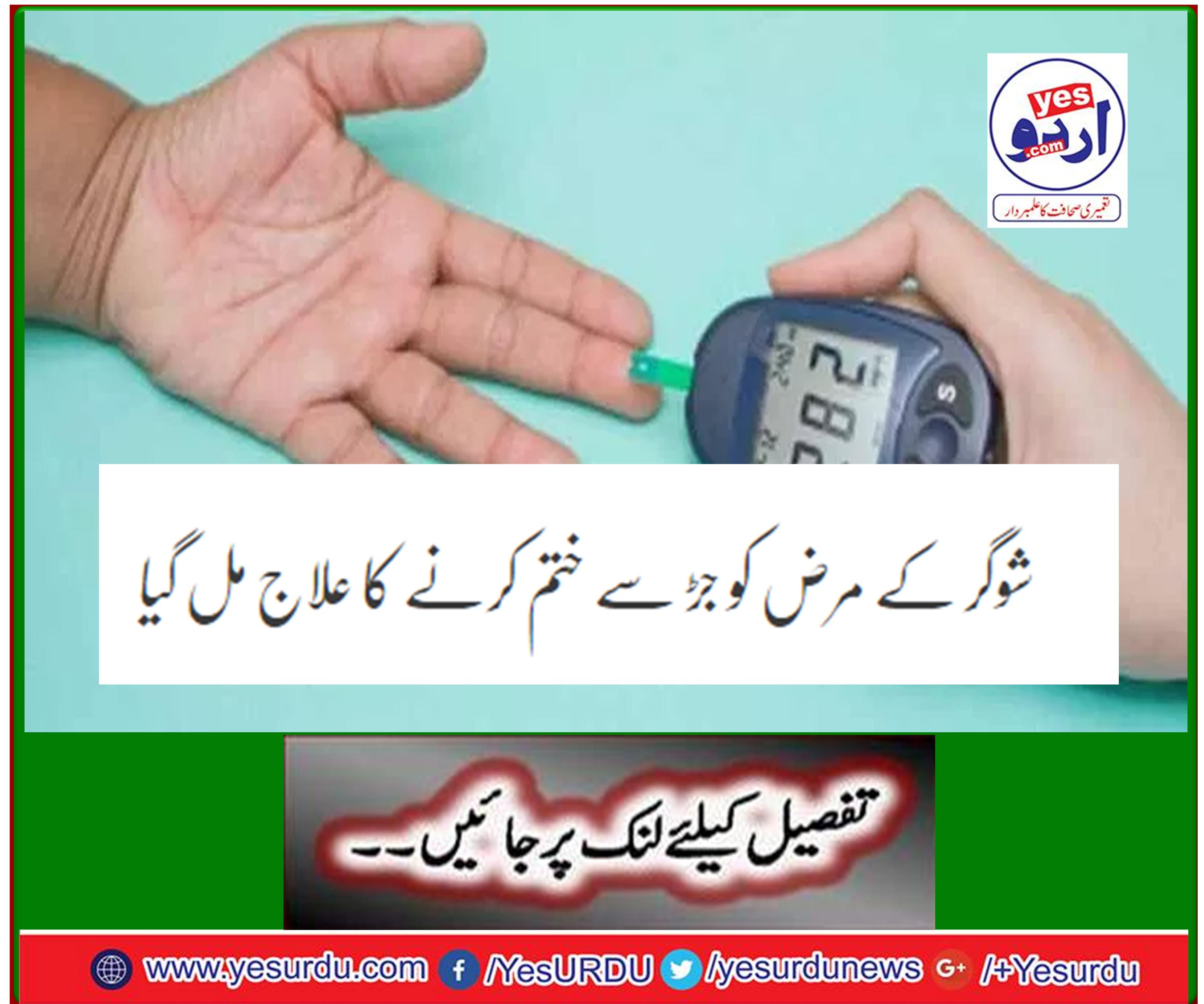 Diabetes has been found to cure diabetes