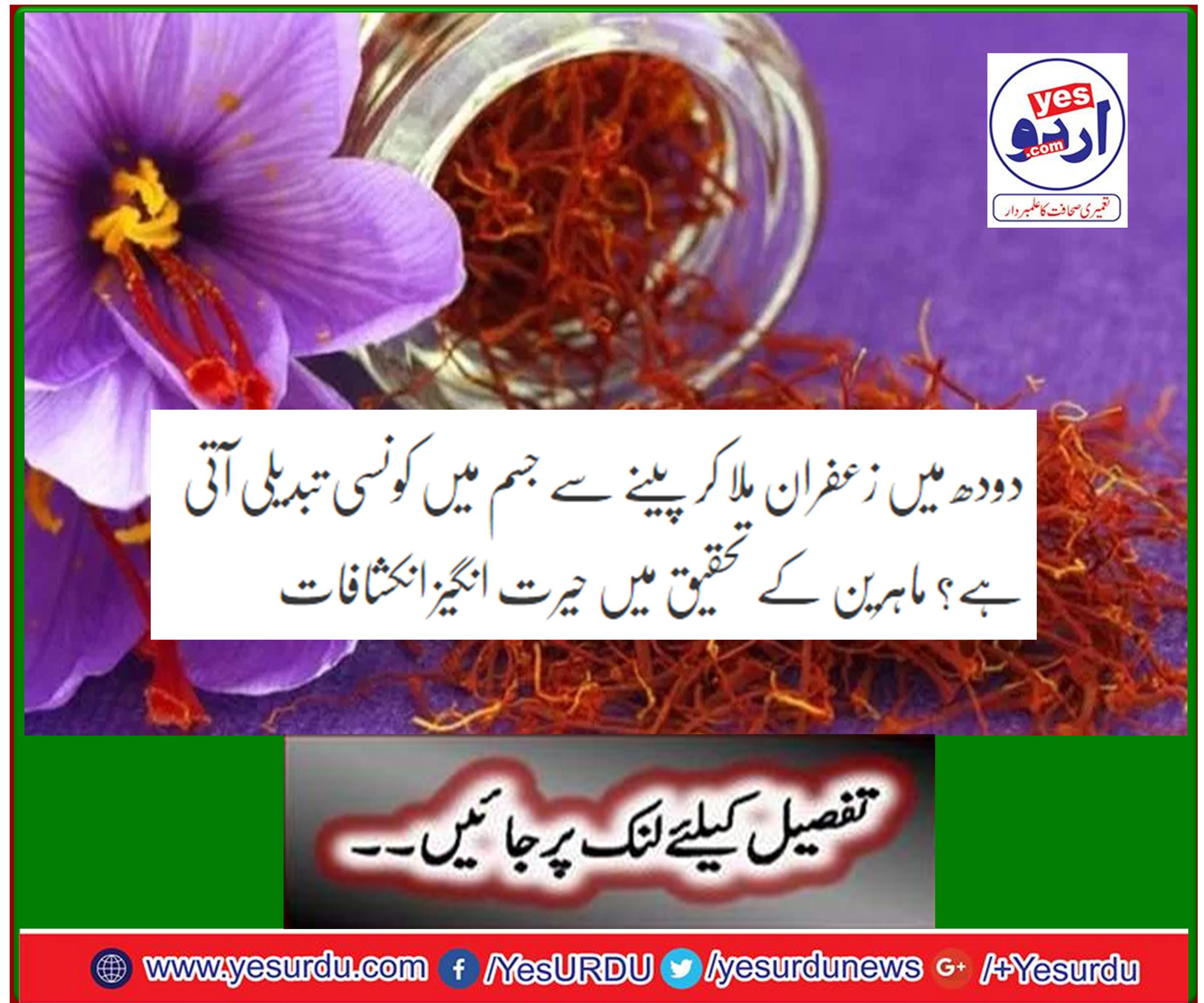 What is the change in the body by mixing saffron with milk? Amazing discoveries in the research of experts