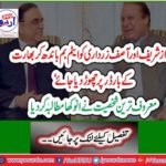 "Mian Nawaz Sharif and Asif Zardari should be bombed and released at India border"