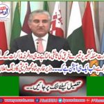Foreign Minister Shah Mahmood Qureshi announced the domineering