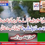 Indian politicians post-mortem of Narendra Modi's decision: Eliminating Kashmir's special status