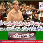 Shahbaz Sharif answered India indifferently to Kashmir issue