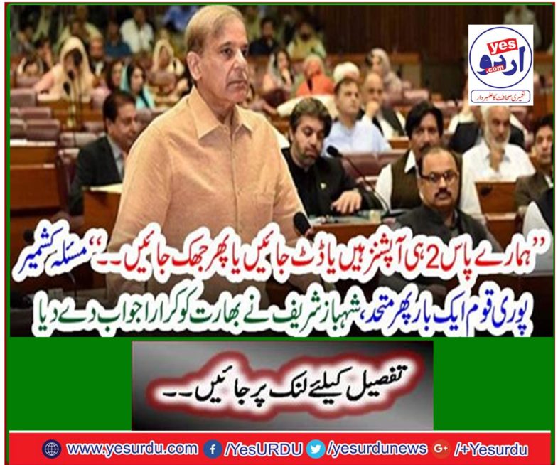 Shahbaz Sharif answered India indifferently to Kashmir issue