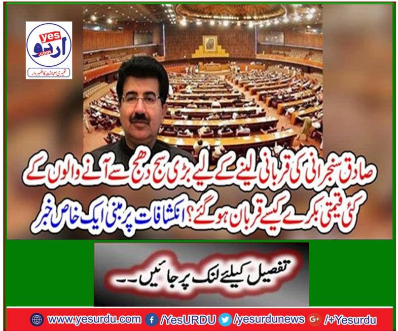 How many of the precious goats were sacrificed by the great sun to take the sacrifice of the righteous? A special news based on the revelations