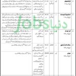 Council of Islamic Ideology Pakistan Jobs 2019 for Research Investigator, Stenotypists, Assistant PS, Translator, DMO and Other Staff