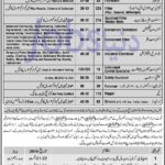 DESCON Engineering Ltd Pakistan Jobs 2019 for 1,020+ DAE, Telecom, Technical, Driving Staff for UAE Projects (Walk-in Interviews)