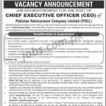 Ministry of Commerce & Textile Pakistan Jobs 2019 for CEO / Chief Executive Officer