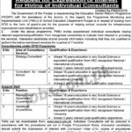 School Education Department Punjab Jobs 2019 for Assistants, Management Associates & Consultants
