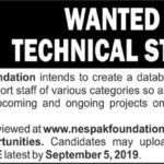 NESPAK Foundation Jobs 2019 for Experts & Support Staff