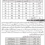 Technical Elementary & Secondary Education Directorate AJK Jobs 2019 for Teaching Staff