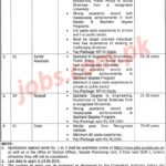 Services & General Administration Department Punjab Jobs 2019 for 9+ Associates, Jr Associate, Analysts & Cook
