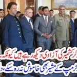 AMERICAN, ADVISER, OF, TRUMP, SAYS, THEY, ARE, LOOKING, AT, KASHMIR, FREEDOM