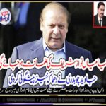 either, mian nawaz shareif, will, get, bail, or, not, analysis, by, javed ch