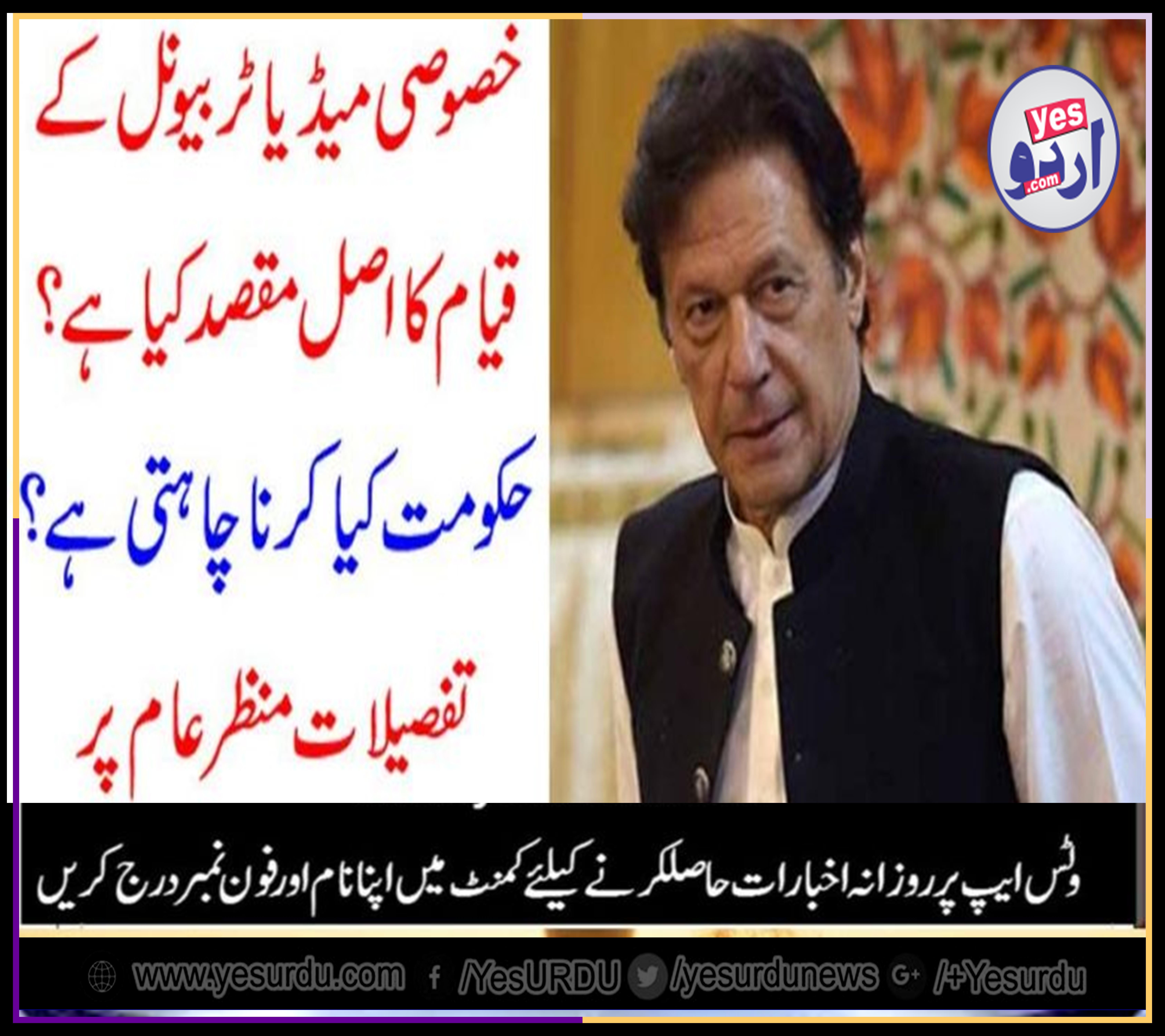 what, will, be, the, purpose, of, media, courts