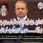 nawaz shareif, want, to, stay, in, jail, himself, says, hamid mir