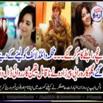rabi pirzada, harsh, answer, to, wild, life, department, about, her, pet, cobra, and, crocodile