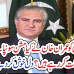 SHAH MEHMOOD QURESHI, ON, IMPORTANT, MISSION, BY, IMRAN KHAN, BREAKING, NEWS, TO, WHOM, HE, IS, GOING, TO, MEET