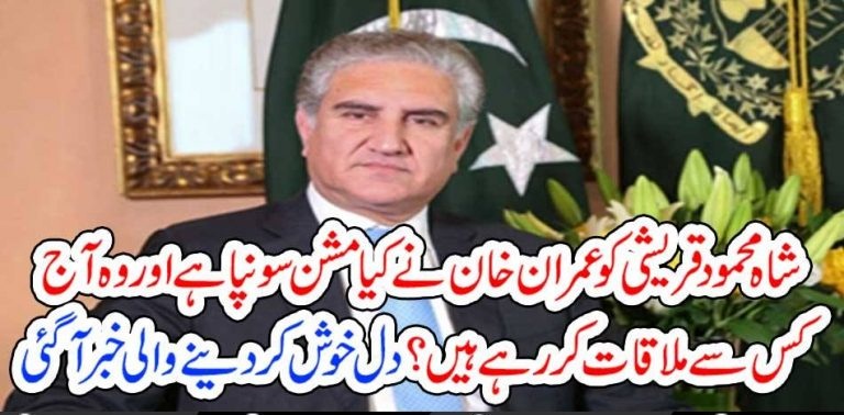 SHAH MEHMOOD QURESHI, ON, IMPORTANT, MISSION, BY, IMRAN KHAN, BREAKING, NEWS, TO, WHOM, HE, IS, GOING, TO, MEET