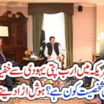 IMRAN KHAN, MEETING, WITH, BILLIONAIRE, JEWISH, BUSINESSMAN, IN, USA, BBC, REPORTED