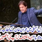 WHO, WAS, HE, WHO, WAS, CONSTANTLY, WEEPING, HEARING, IMRAN KHAN'S, SPEECH, AT, UN