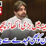 ALI MUHAMMD KHAN, REMOVED, FROM, MINISTER, FOR, PARLIAMENTARY, AFFAIRS