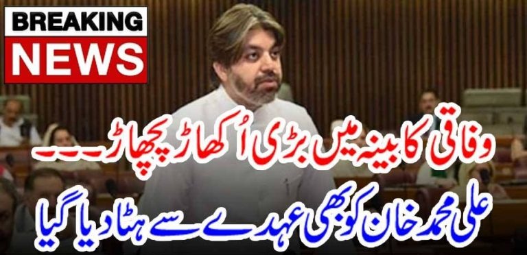 ALI MUHAMMD KHAN, REMOVED, FROM, MINISTER, FOR, PARLIAMENTARY, AFFAIRS