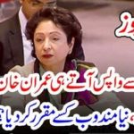 DR. MALIHA LODHI, REMOVED, AS, PERMANENT, CORRESPONDENT, PAKISTAN, IN, UNITED, NATIONS, MUNIR AKRAM, REINSTATED