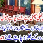 PRIME MINISTER, GIVEN, FREE HAND, TO, USMAN BUZDAR, FOR, CABINET, DICISIONS