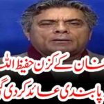 COUSIN, OF, IMRAN KHAN, PRIME MINISTER, OF, PAKISTAN, BANNED, BY, PEMRA, FROM, TV, APPEARANCE