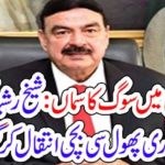MOURNING, SITUATION, IN, LAL HAVELI, YOUNGER, CHILD, DIED