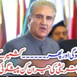 ANOTHER, COMBAT, ON, KASHMIR, WILL, BE, FAUGHT, SAYS, SHAH MEHMOOD QURESHI, PAKISTAN, FOREIGN, MINISTER
